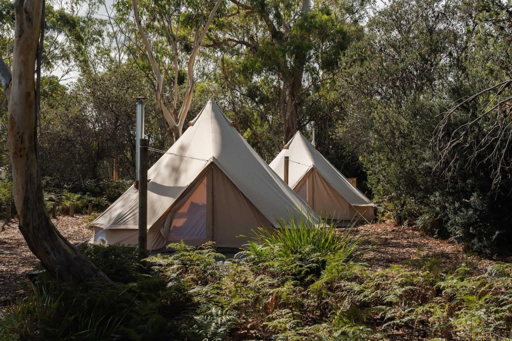 فندق Numie - Freycinet Peninsula - Glamping - Heated - Waterfront كولز باي المظهر الخارجي الصورة
