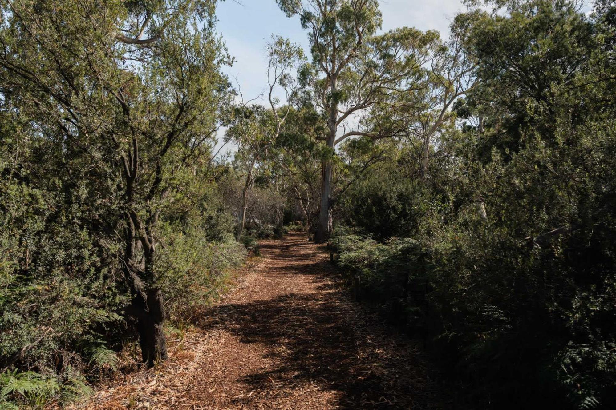 فندق Numie - Freycinet Peninsula - Glamping - Heated - Waterfront كولز باي المظهر الخارجي الصورة