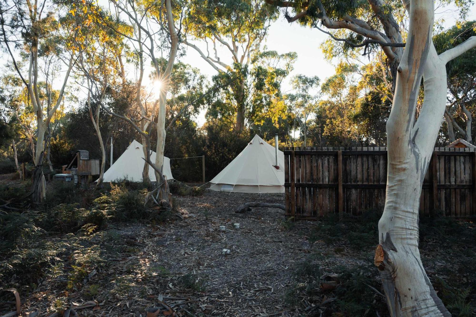فندق Numie - Freycinet Peninsula - Glamping - Heated - Waterfront كولز باي المظهر الخارجي الصورة