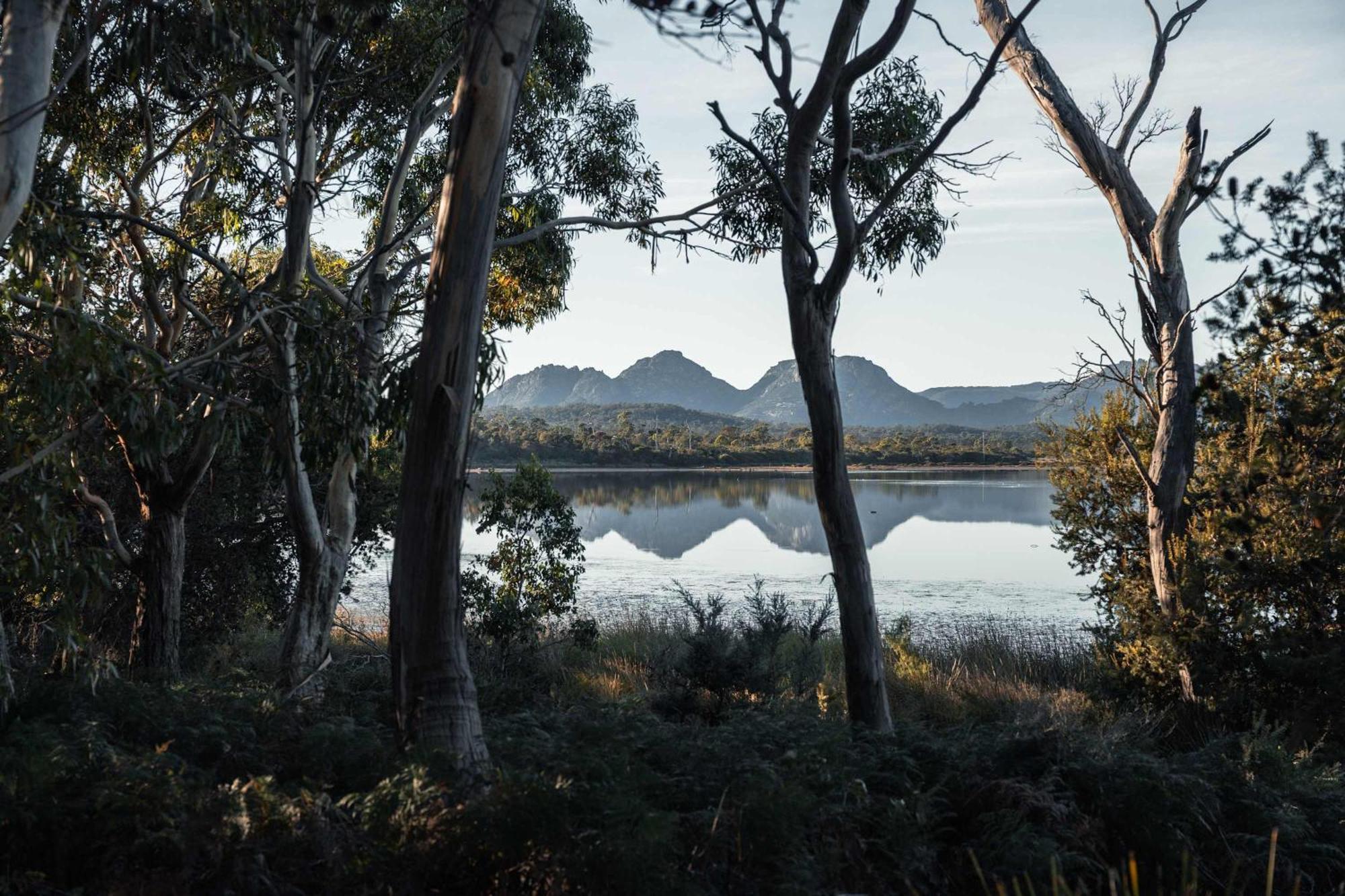 فندق Numie - Freycinet Peninsula - Glamping - Heated - Waterfront كولز باي المظهر الخارجي الصورة