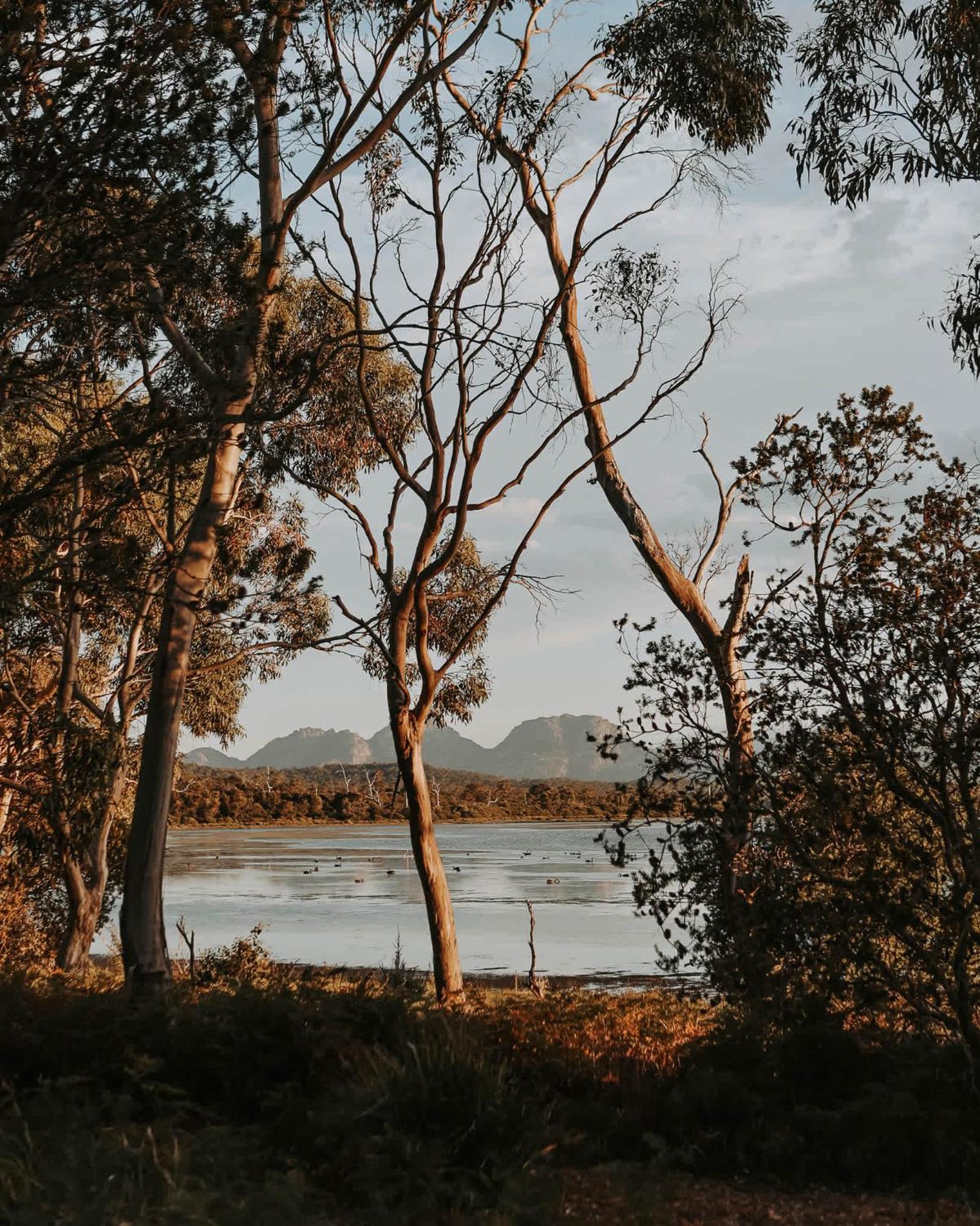 فندق Numie - Freycinet Peninsula - Glamping - Heated - Waterfront كولز باي المظهر الخارجي الصورة